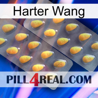 Hard Wang cialis2